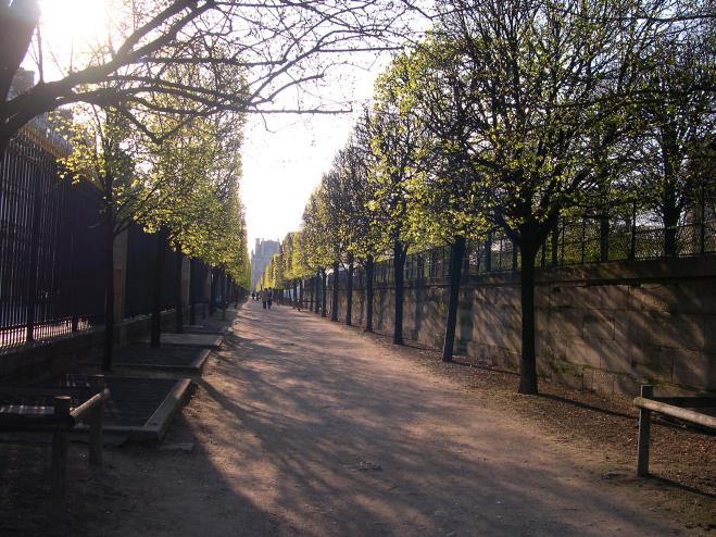  jardin des tuileries